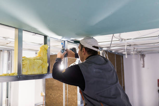 Types of Insulation We Offer in MI